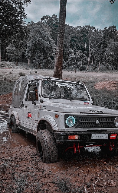 将在全球范 将在全球范